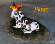 Poppy is a custom Donkey painted by DeeAnn Kjelshus