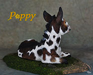 Poppy is a custom Donkey painted by DeeAnn Kjelshus