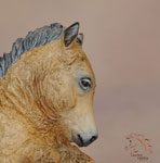 Squeak Pony foal Artist Choice #8 painted and sculpted by DeeAnn Kjelshus