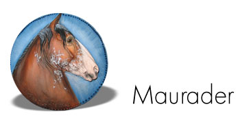 Maurader - a limited edition resin horse by DeeAnn Kjelshus Synergy - a limited edition resin horse by DeeAnn Kjelshus