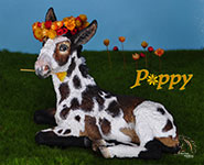 Poppy is a custom Donkey painted by DeeAnn Kjelshus