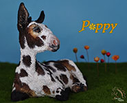 Poppy is a custom Donkey painted by DeeAnn Kjelshus