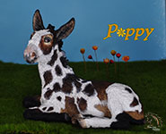 Poppy is a custom Donkey painted by DeeAnn Kjelshus