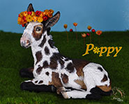 Poppy is a custom Donkey painted by DeeAnn Kjelshus