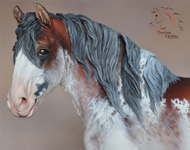 by DeeAnn Kjelshus