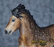 Elton Pony resin sculpted by Jennifer Scott of Aspen Leaf studios and painted by DeeAnn Kjelshus