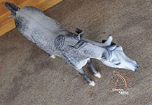 Sumara resin by DeeAnn Kjelshus