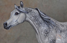 Sumara resin by DeeAnn Kjelshus