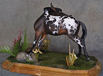 Elton Pony resin sculpted by Jennifer Scott of Aspen Leaf studios and painted by DeeAnn Kjelshus