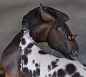 Elton Pony resin sculpted by Jennifer Scott of Aspen Leaf studios and painted by DeeAnn Kjelshus