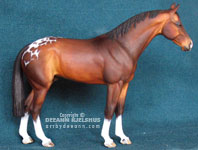 Chaney TB resin in Bay Appaloosa by DeeAnn Kjelshus