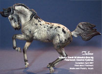  Taboo resin in dappled grey appaloosa by DeeAnn Kjelshus 2007