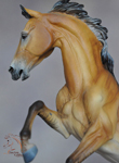 by DeeAnn Kjelshus