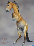 by DeeAnn Kjelshus