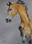 by DeeAnn Kjelshus