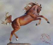 by DeeAnn Kjelshus